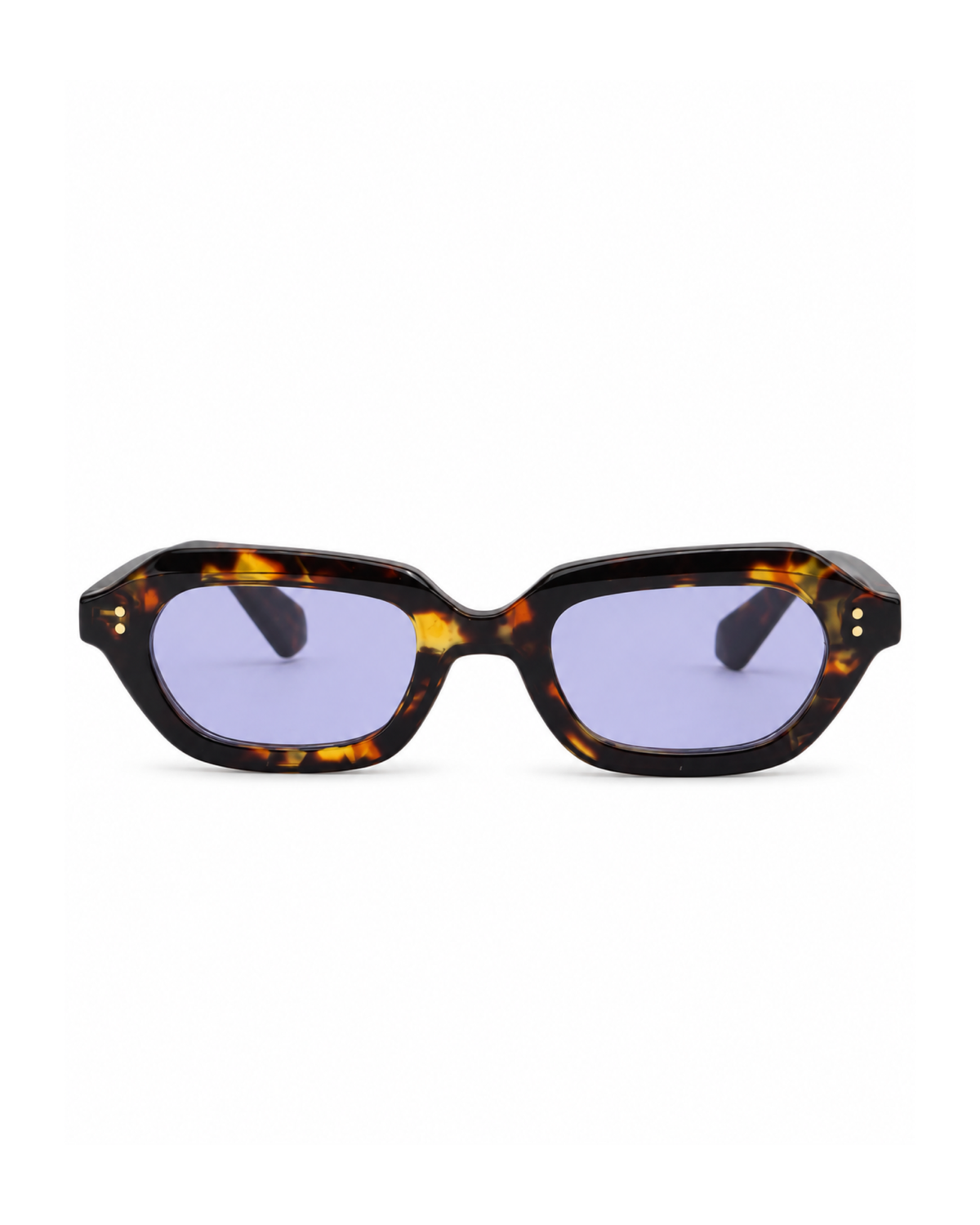 Occhiali da sole RIPON — Tartarugato con lenti viola, vista frontale.